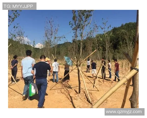 深圳排球队选拔赛表现分析与状态评估探讨